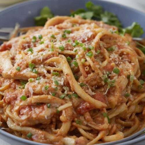 Mexican Chicken Spaghetti